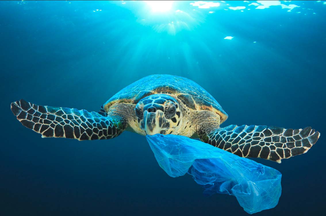 Proteggere il mare dalla plastica: consigli utili