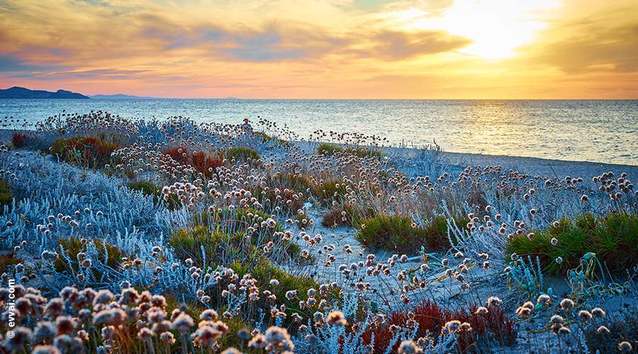 Badesi: la località top della Sardegna del Nord