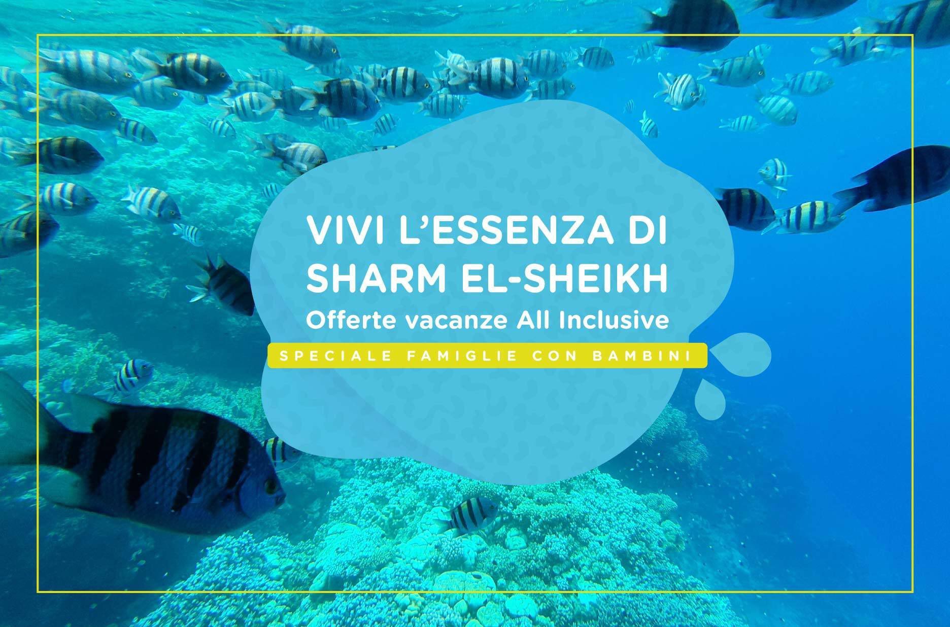 Sharm El Sheikh: guida alla vacanza perfetta