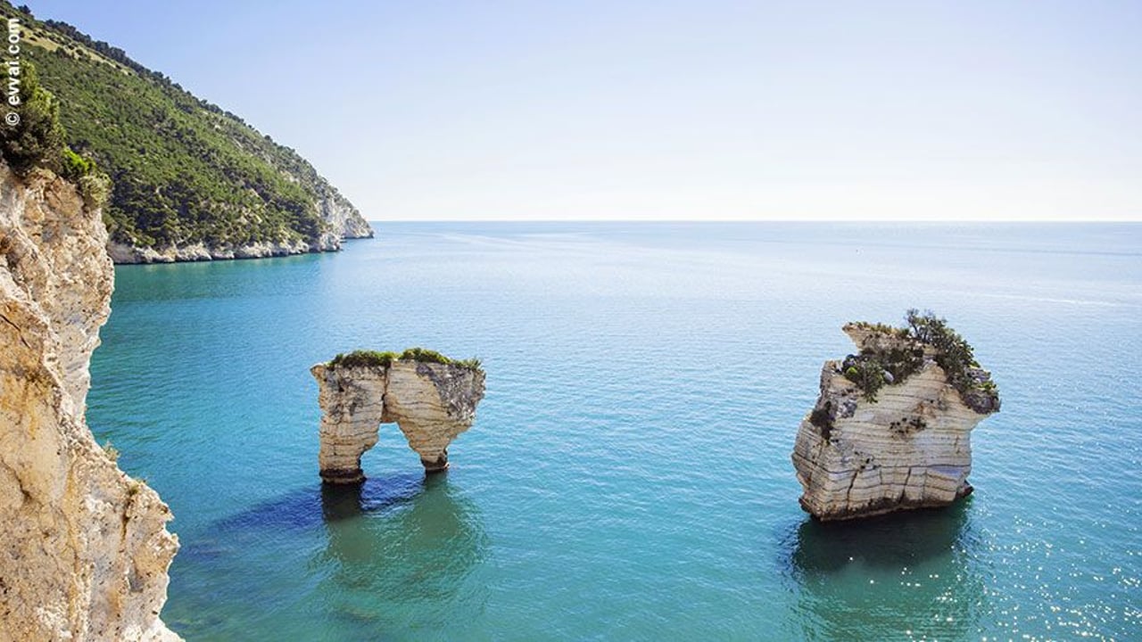 Gargano: spiagge, calette e natura selvaggia