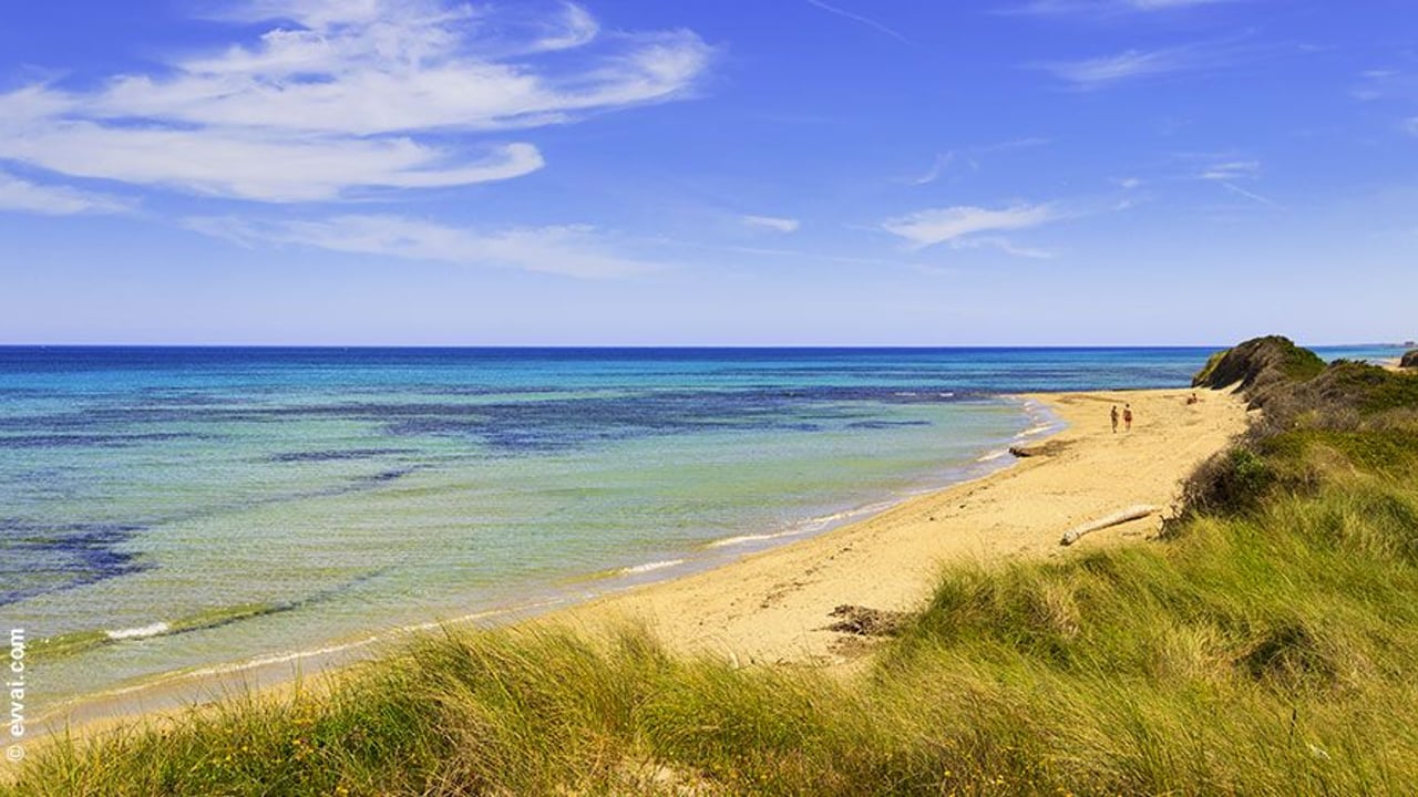 Bandiere Blu in Puglia: le spiagge premiate