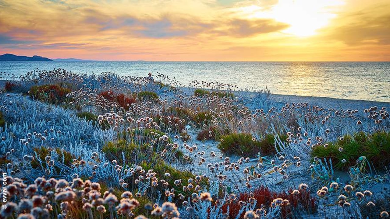 Badesi: la località top della Sardegna del Nord