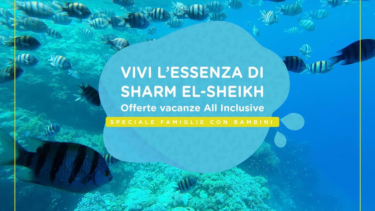 Sharm El Sheikh: guida alla vacanza perfetta