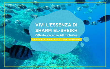 Sharm El Sheikh: guida alla vacanza perfetta