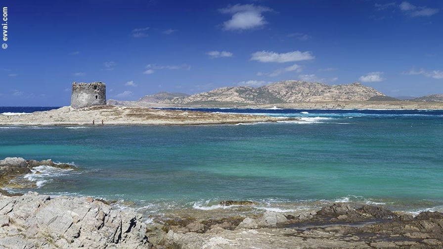 Le spiagge più belle della Sardegna: guida completa